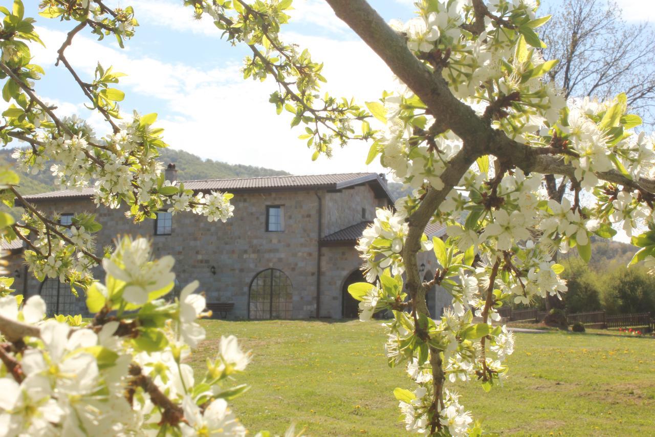 Villa Lavanda Elena Zewnętrze zdjęcie